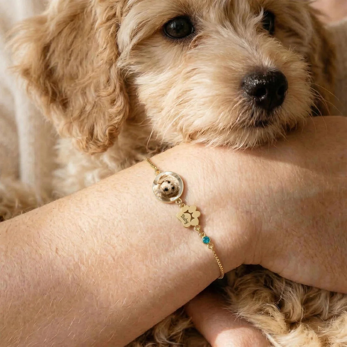 Pulseira Memórias do Meu Pet