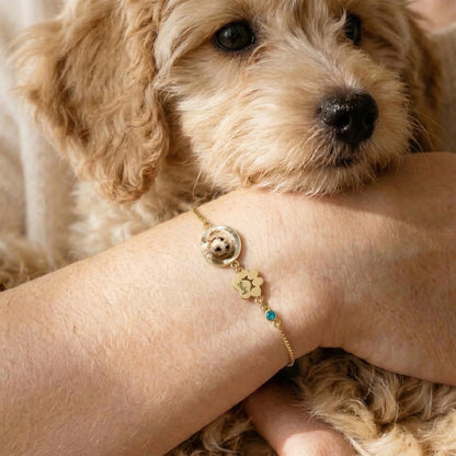 Pulseira Memórias do Meu Pet